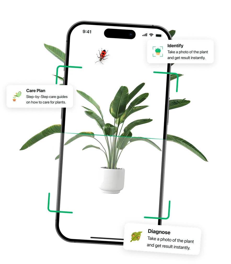 Plant Care Interface