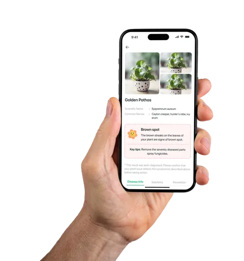 Accurate Plant Identification and Expert Care